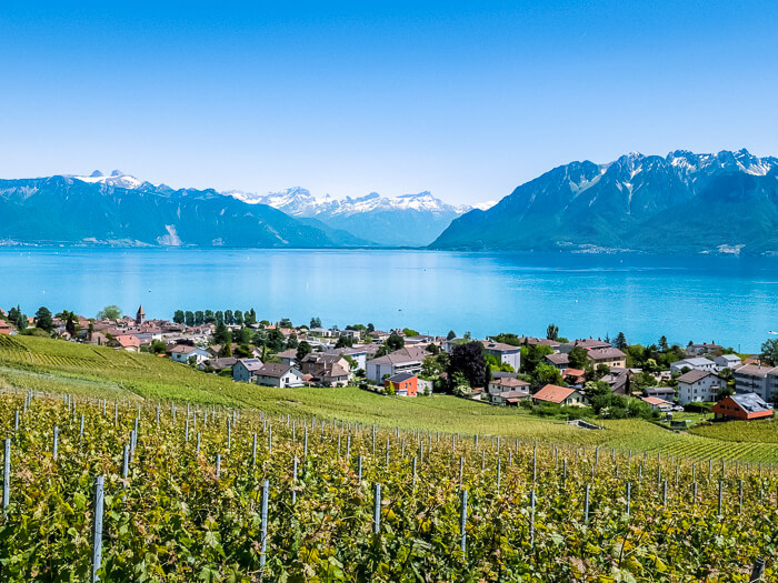 Picturesque vineyards with a backdrop of the tranquil Lake Geneva and snow-capped Alps