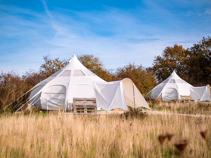 White bell-shaped canvas tents at Thorseng Nature Resort, one of the top places for glamping in Denmark