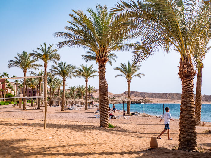Palm trees and umbrellas on a sandy beach at Tala Bay, Aqaba, on the Red Sea coast of Jordan