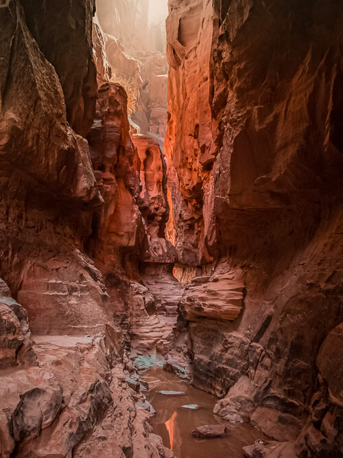Orange sandstone cliffs at the Wadi Mujib river canyon