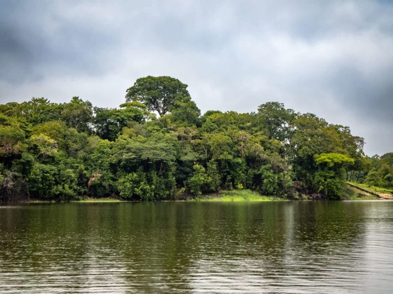 How to visit the Amazon rainforest in Brazil: A complete guide