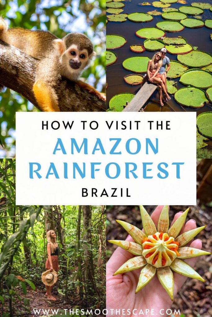 A Pinterest pin with images of the vegetation and wildlife of the Amazon and a text overlay stating: How to visit the Amazon Rainforest, Brazil.