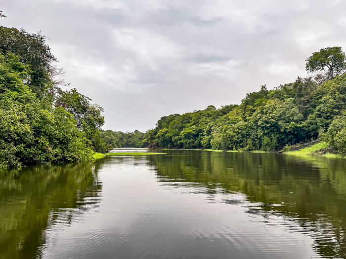 A boat tour through the jungle is one of the best things to do on a trip to the Amazon rainforest in Brazil
