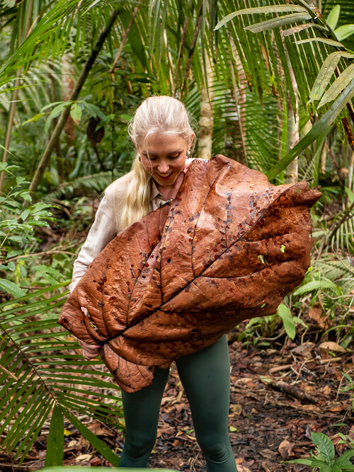 a woman standing in the Amazon jungle, holding a giant brown leaf in her hands