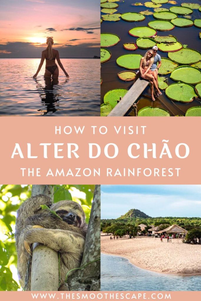 A Pinterest pin with images of a sunset, a sloth, a beach and water lilies and a text overlay stating: How to visit Alter do Chao, the Amazon rainforest.