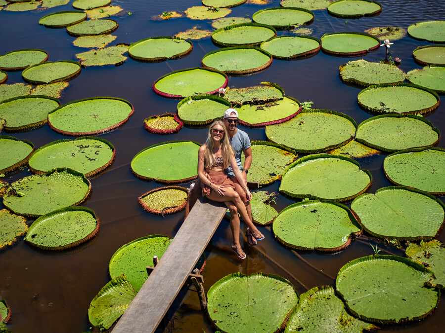a couple sitting on a dock surrounded by giant water lilies, one of the best places to visit in the Amazon rainforest in Brazil