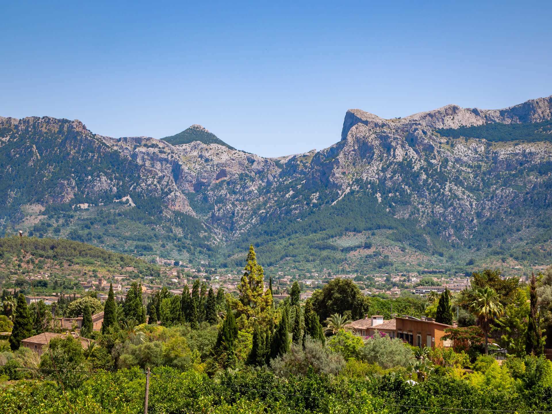 tourist dies mallorca