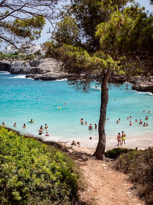 a footpath surrounded by shrubs leading to Cala Esmeralda beach in Cala d'Or