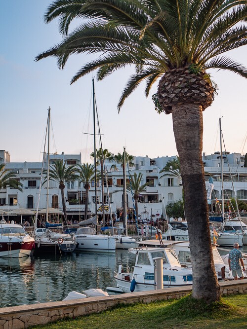 Palm-tree-lined promenade at Cala d'Or Marina