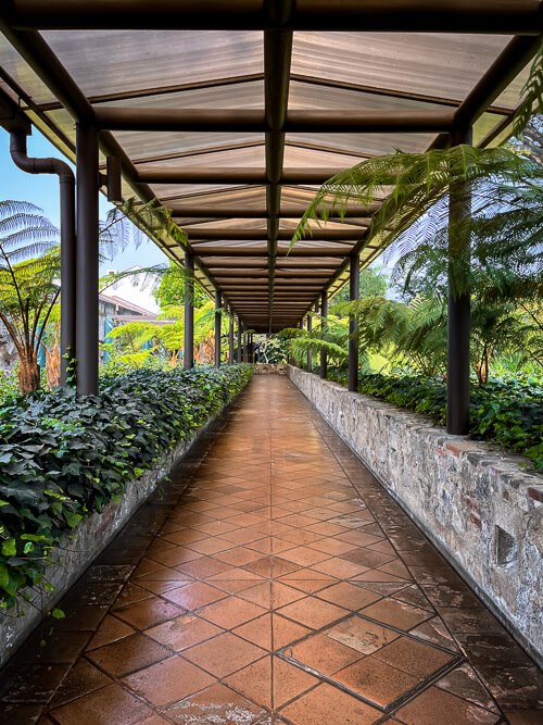A long covered pathway through green gardens