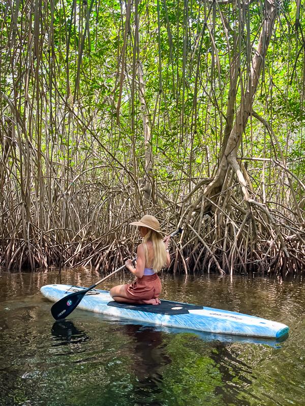 Me kneeling on a stand up paddle board on a mangroves tour in El Paredon