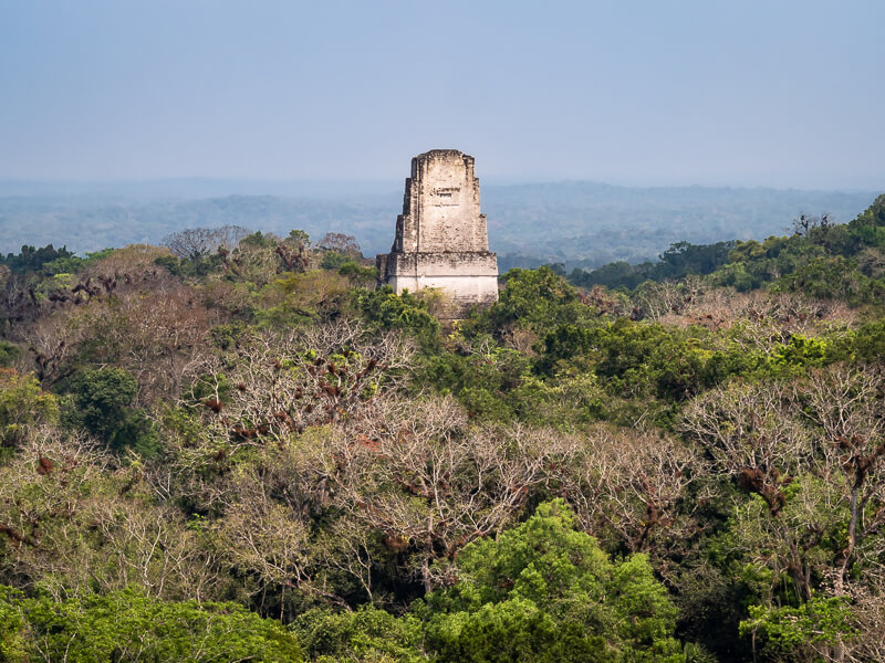 An ancient Mayan temple towering above the jungle canopy in Tikal, a must-visit spot on every Guatemala itinerary