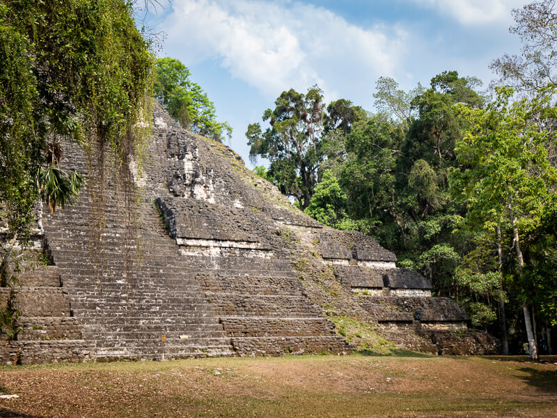 A Mayan pyramid overgrown with vegetation in Tikal, a place you shouldn't miss if you have 10 days in Guatemala