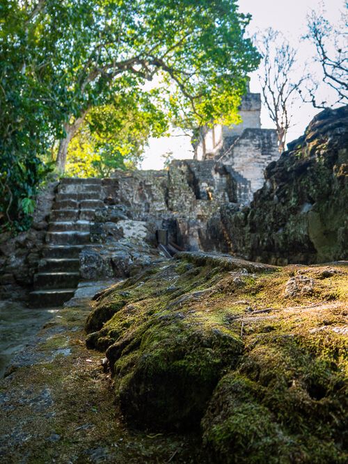 Ancient structures covered with green moss in the Mayan ruins of Tikal