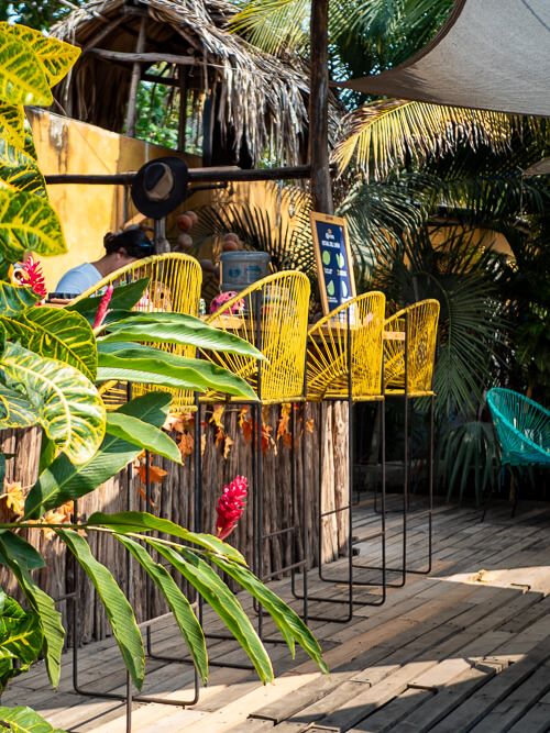 colorful decor and lush vegetation at a restaurant in El Paredon