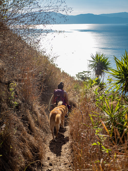 A tour guide with a dog on the Indian Nose hike trail