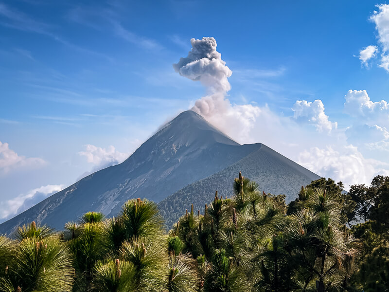 Volcan Fuego spitting out a cloud of smoke, viewed from a base camp on Volcan Acatenango