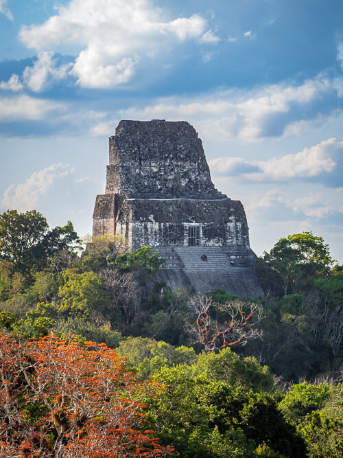 An ancient Mayan temple rising above the trees in Tikal National Park