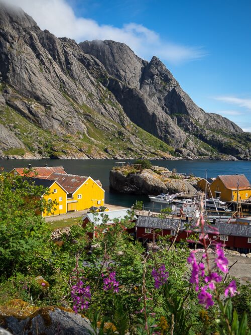 Yellow wooden houses with a backdrop of steep craggy mountains at Nusfjord village