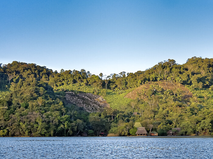 A river bank covered with lush forest at Rio Dulce 