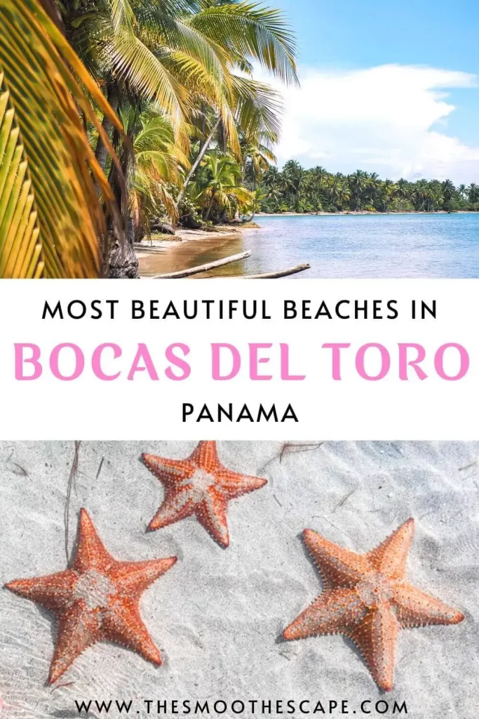 a Pinterest pin with images of a palm-tree lined beach and of orange starfish and a text overlay stating: Most beautiful beaches in Bocas del Toro, Panama