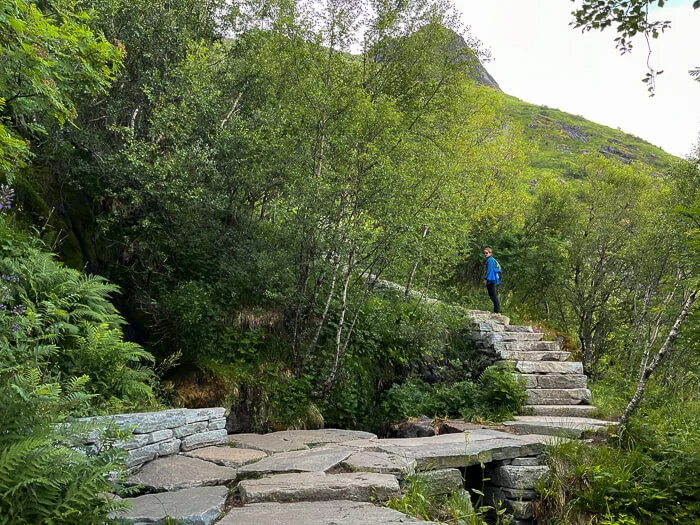 A man standing on the stone Sherpa steps at the Reinebringen hiking trail surrounded by green bushes and trees