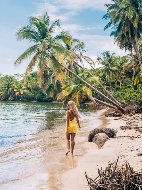 A woman walking on a sandy beach lined with leaning palm trees at Starfish Beach in Bocas del Toro, Panama.