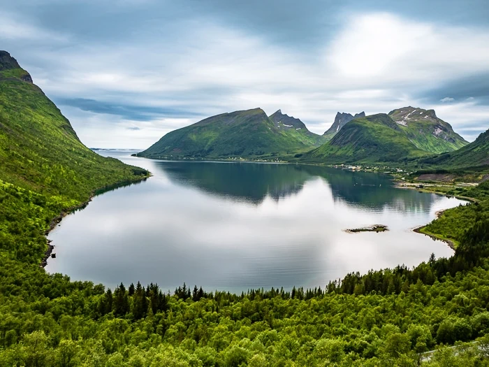 a fjord surrounded by lush forested shores and mountains on a cloudy day, viewed form Bergsbotn viewing platform on Senja Island