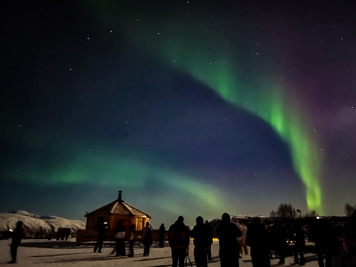 Crowds marveling at green and purple Northern Lights during our reindeer tour in Tromso