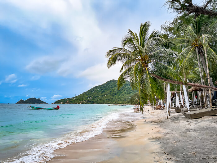 A palm tree leaning horizontally over the sand at Sairee Beach