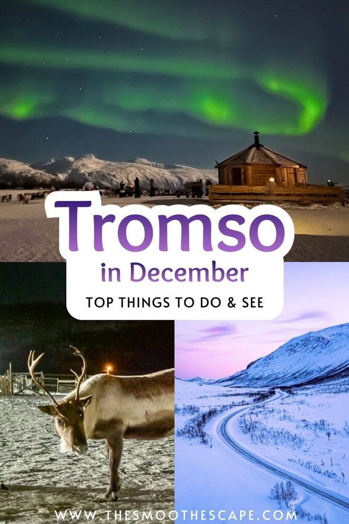 A Pinterest pin with images of the Northern Lights, a reindeer and snow-covered landscapes, with a text overlay stating 'Tromso in December; Top things to do & see'.