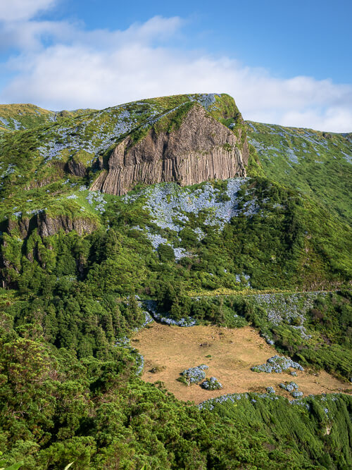 Tall vertical basalt formations of the Rocha dos Bordoes rock surrounded by slopes covered with blue flowers and greenery.