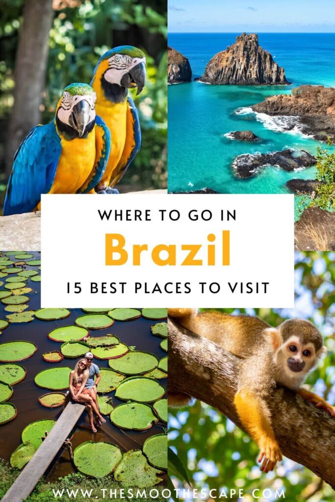 A Pinterest pin with images of parrots, monkeys, water lilies and beaches and a text overlay stating 'Where to go in Brazil: 15 best places to visit'.