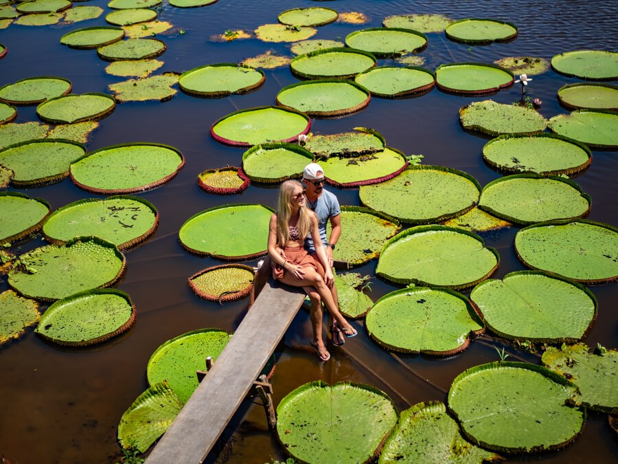 My husband and I sitting on a wooden platform on a pond full of giant water lilies in the Amazon rainforest of Brazil.
