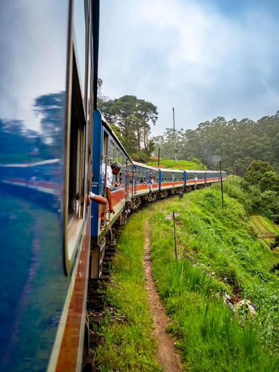 A man leaning out of the window of a dark blue train driving through lush nature on the Ella train route.