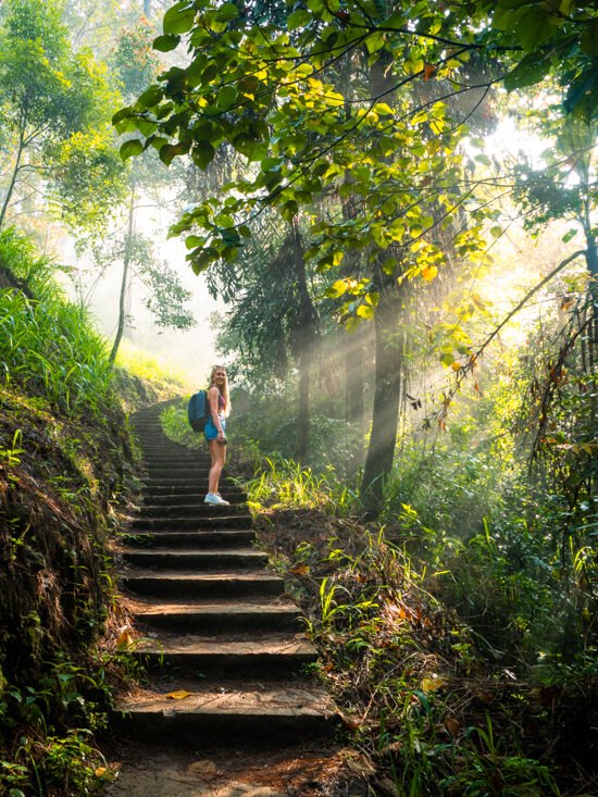 Me walking up a set of stairs in a misty forest with golden sunrays piercing through the vegetation.