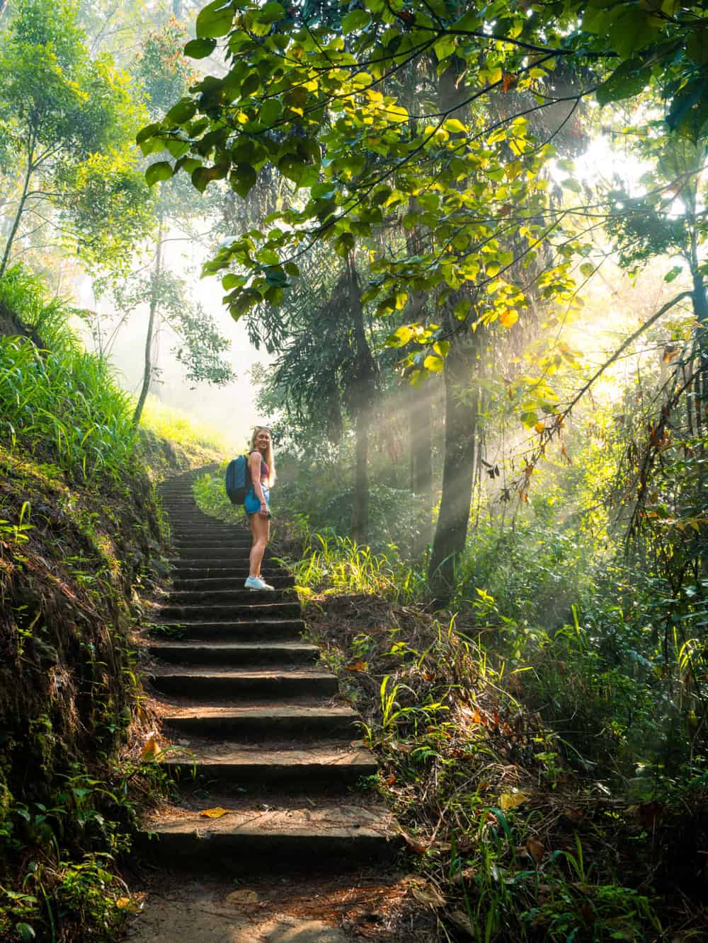 Me walking up a set of stairs in a misty forest with golden sunrays piercing through the vegetation.