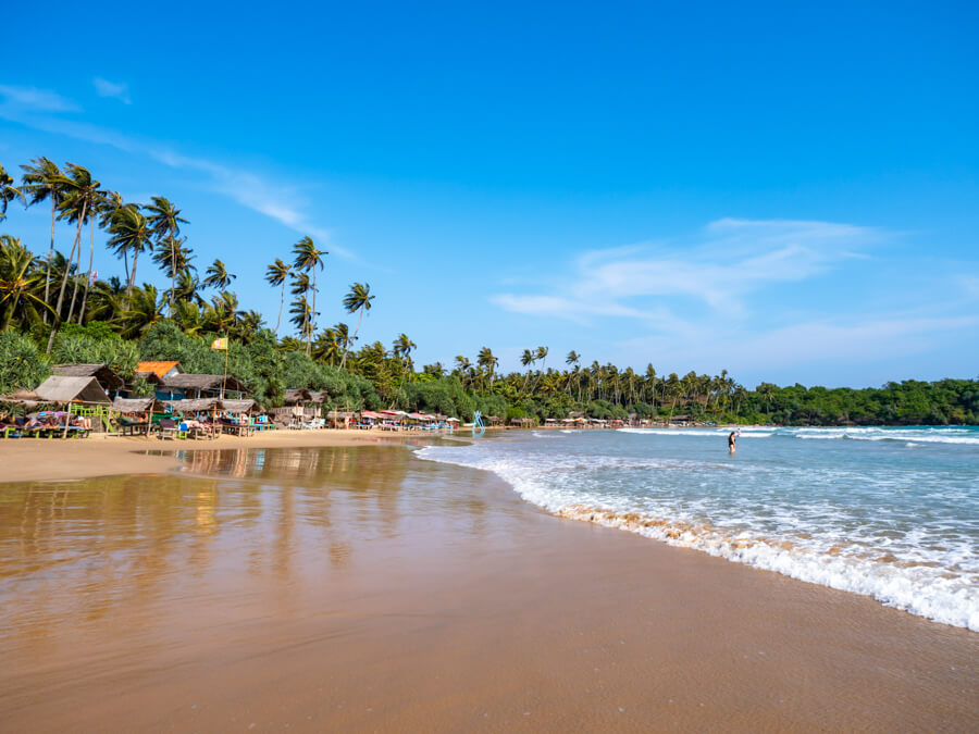 A wide stretch of tan sand, gentle waves and towering palm trees at Dickwella Beach.