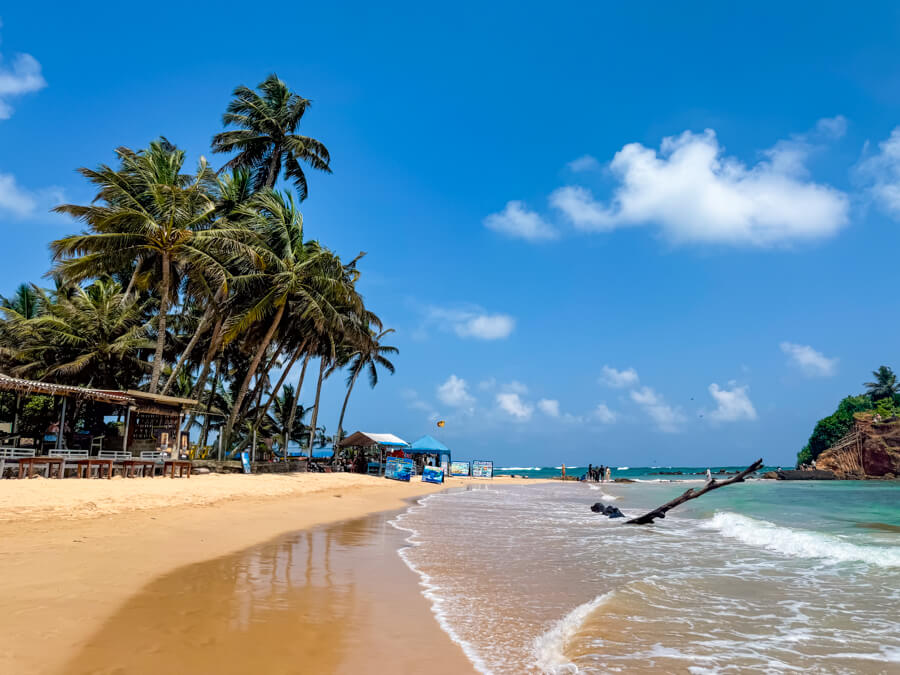 Mirissa Beach with its turquoise water and golden sand lined with palm trees.