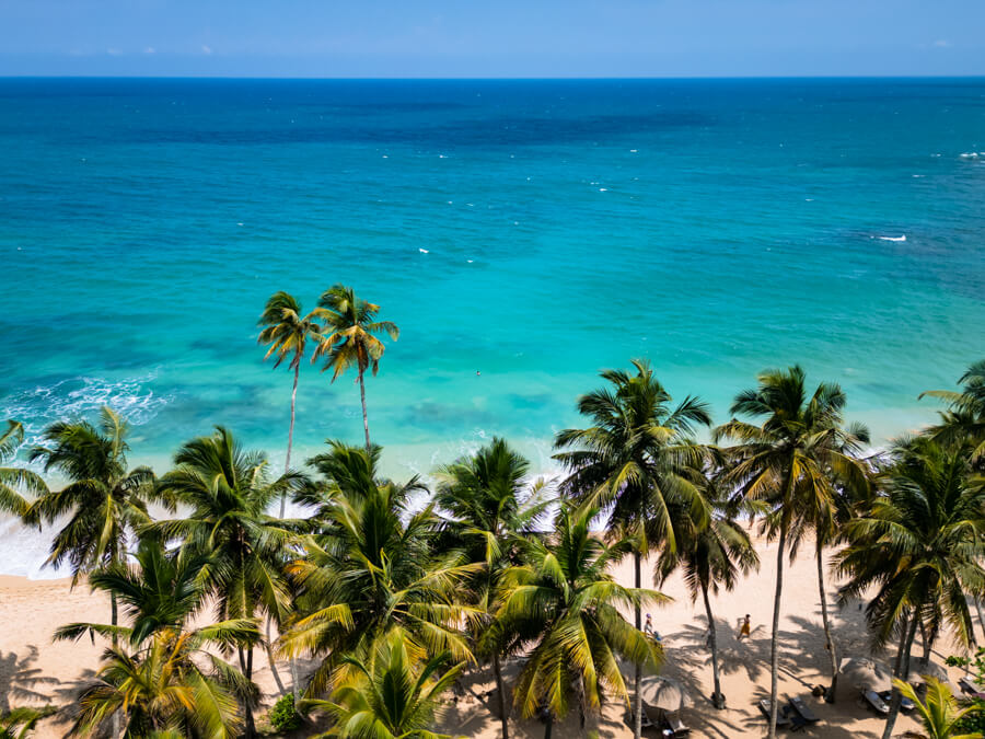 Bright turquoise ocean and palm trees leaning over the golden sand and Silent Beach, Sri Lanka.