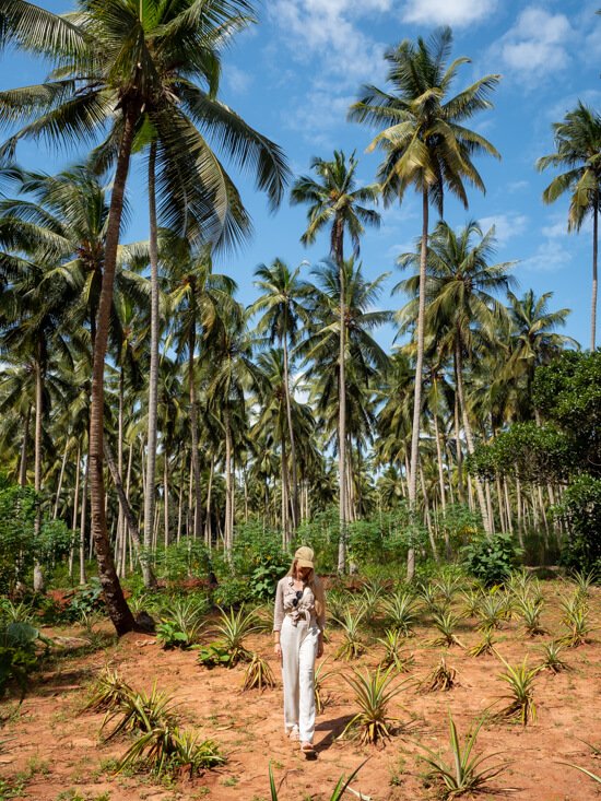Me walking through a field of pineapple plants at a spice farm, with tall palm trees in the background.