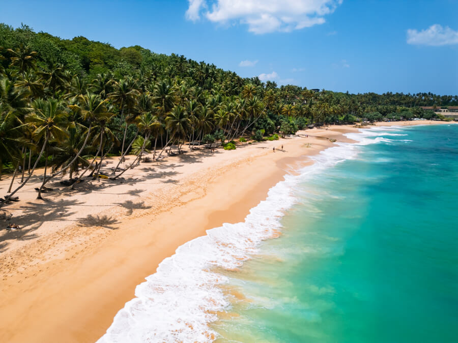 Neon blue sea, countless palm trees and golden sand at Silent Beach, one of the most beautiful places in this Sri Lanka itinerary.