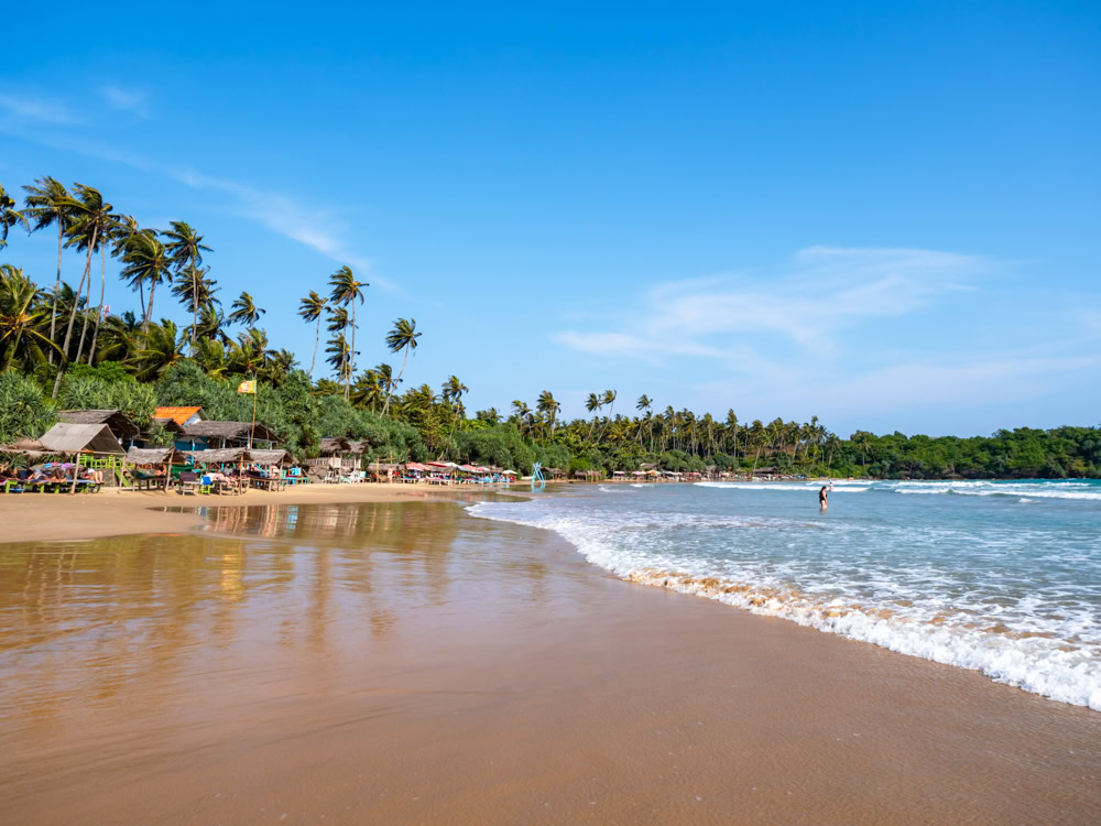 A wide stretch of tan sand, gentle waves, towering palm trees and clear blue sky at Dickwella Beach.