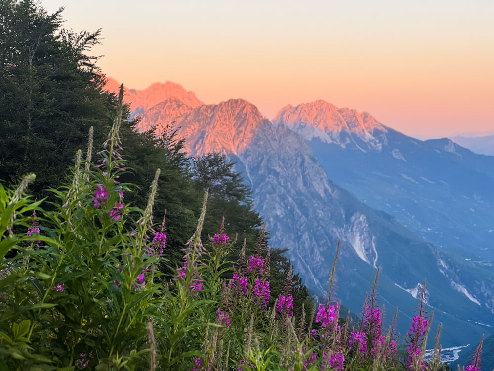 Rocky mountain peaks above Theth in orange and pink sunset glow, with purple wildflowers in the foreground.
