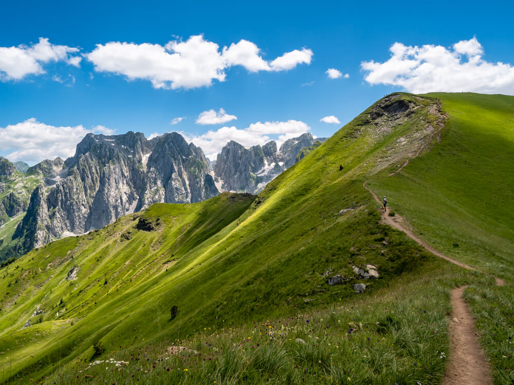 Narrow hiking trail winding along a ridge towards Maja e Vajushës peak in the Albanian Alps, with sharp jagged mountains in the background and green slopes with wildflowers in the foreground.